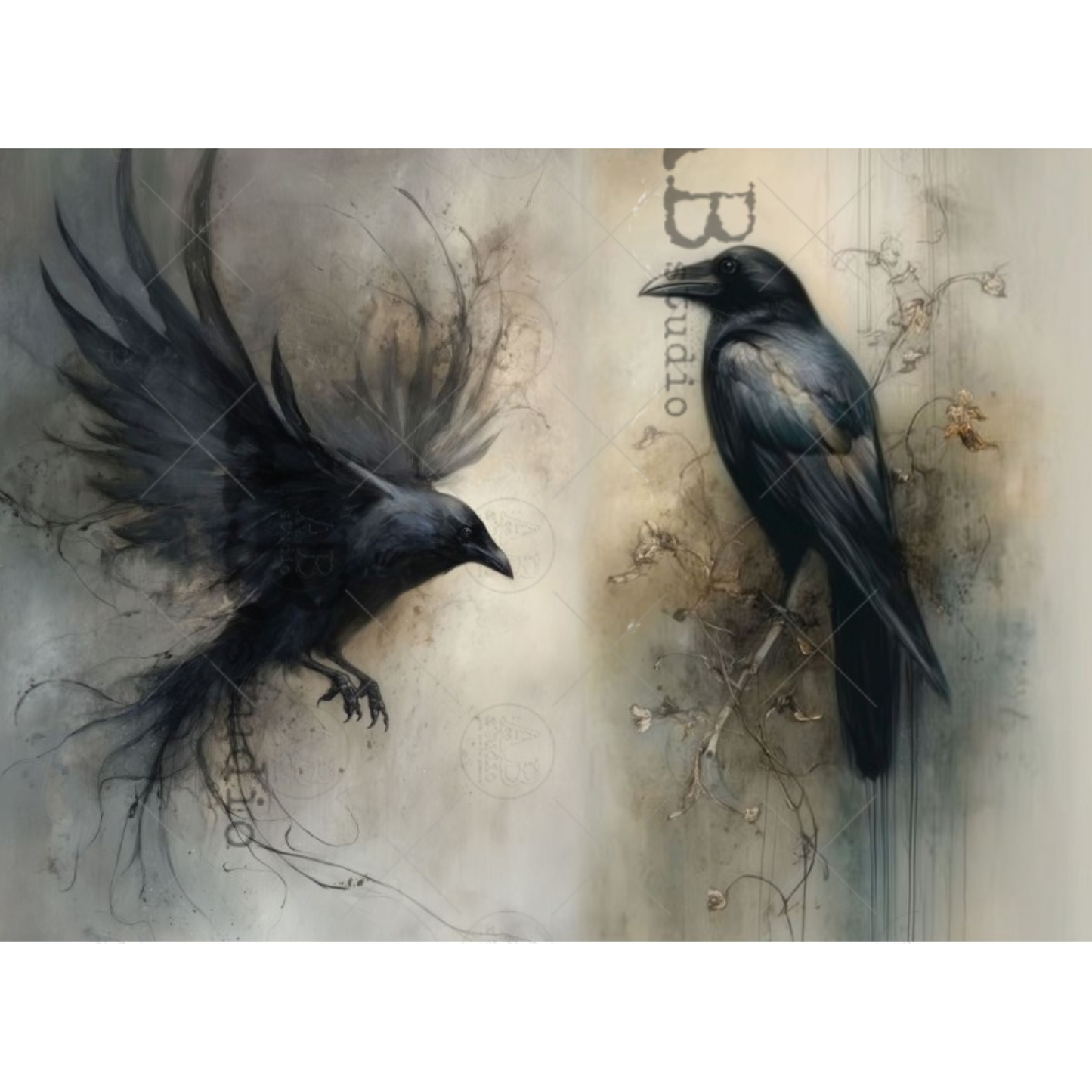 A gothic-style image depicting two black ravens, one flying with wings spread and the other perched on a branch, set against a textured beige and gray background.