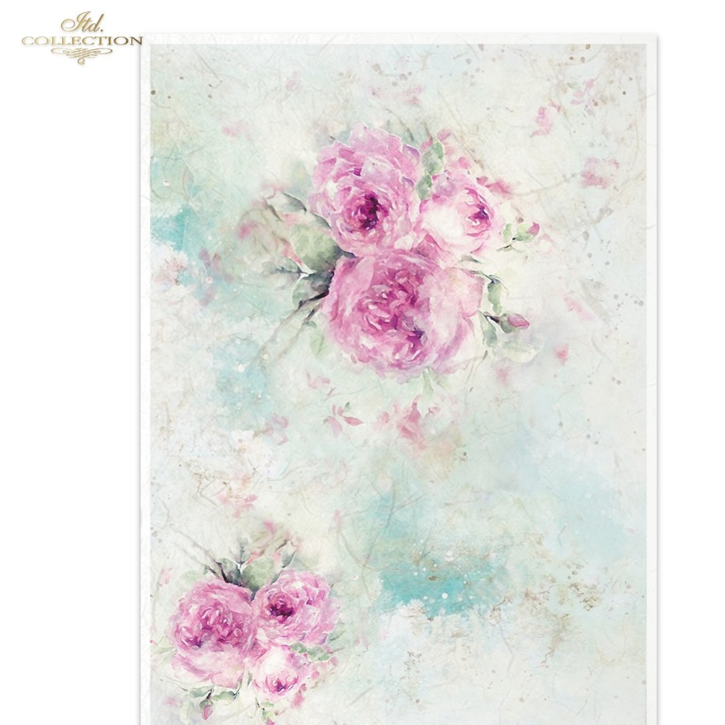 Floral design with pink roses on a textured pastel background.
