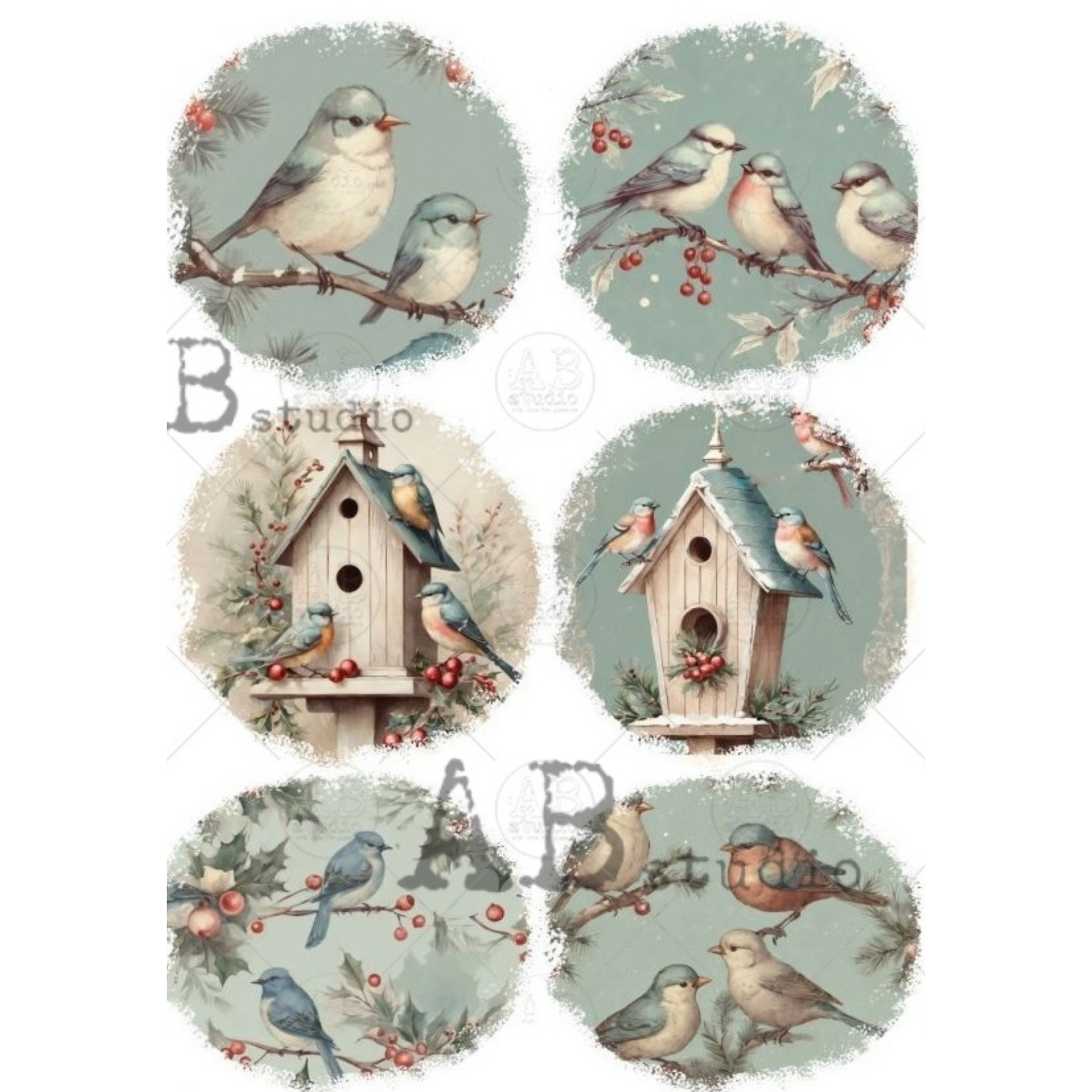 Set of circular illustrations featuring birds and birdhouses on a light blue background.