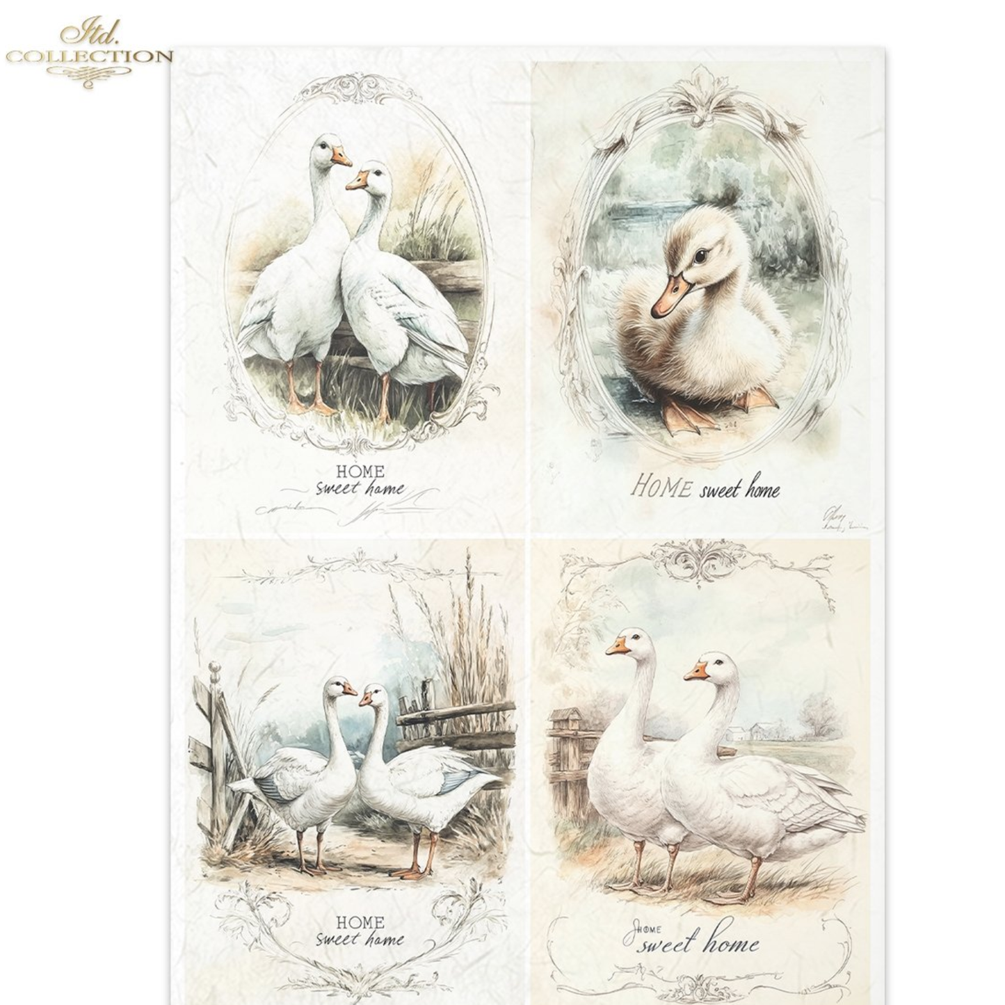 Set of iillustrations of geese with 'Home sweet home' text.