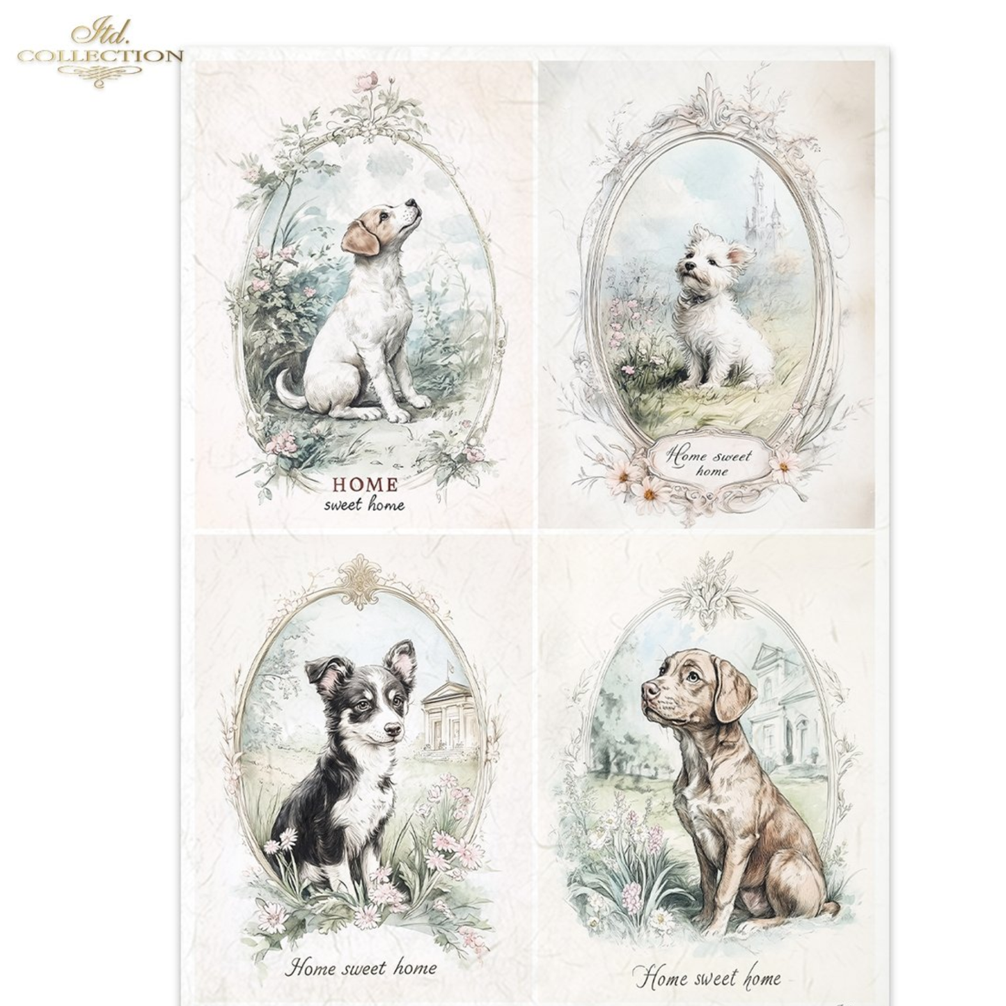 Four illustrations of dogs in decorative frames with 'Home sweet home' text on a white background.