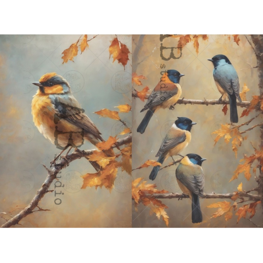Colorful Fall Birds 2 Pack