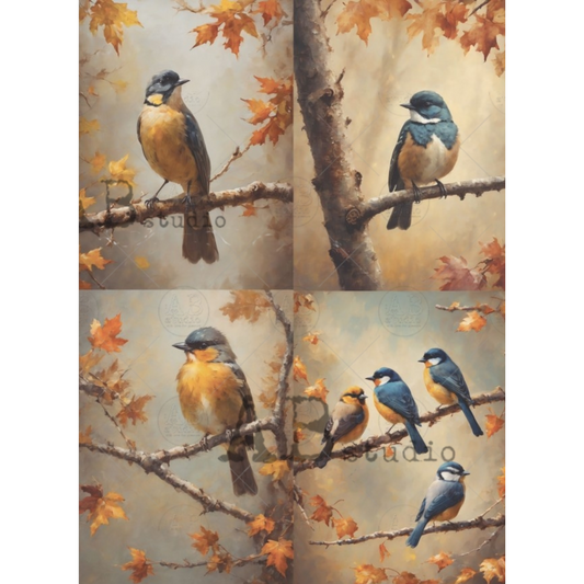 Collage of birds on branches with autumn leaves