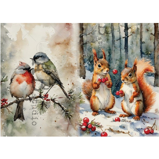 Two panels of artwork featuring birds and squirrels in a winter forest setting.