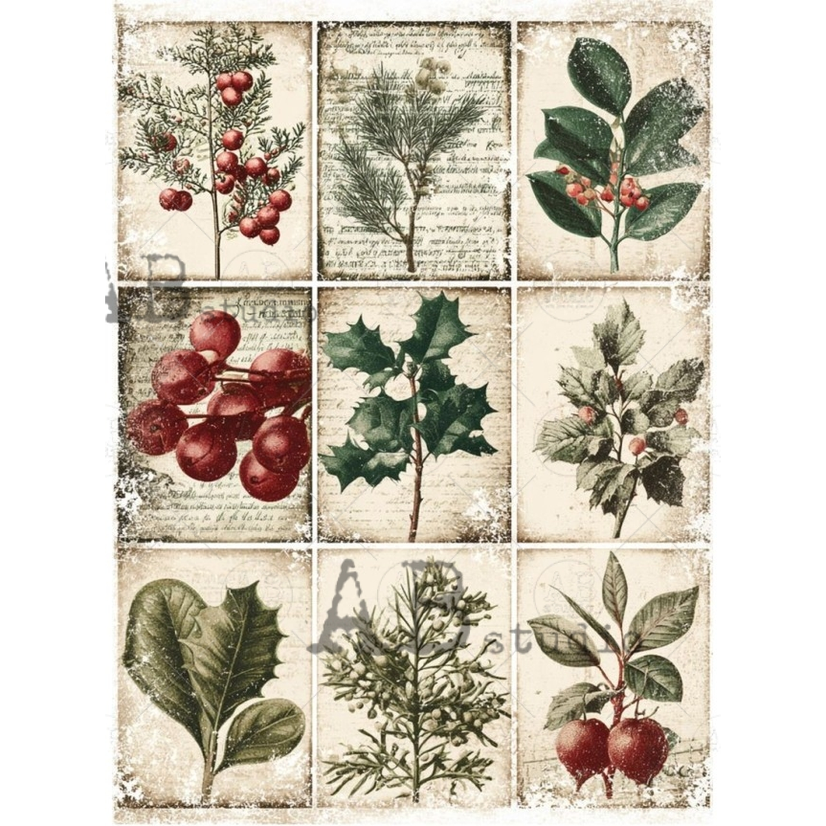 Nine illustrated tag designs of winter botanicals.
