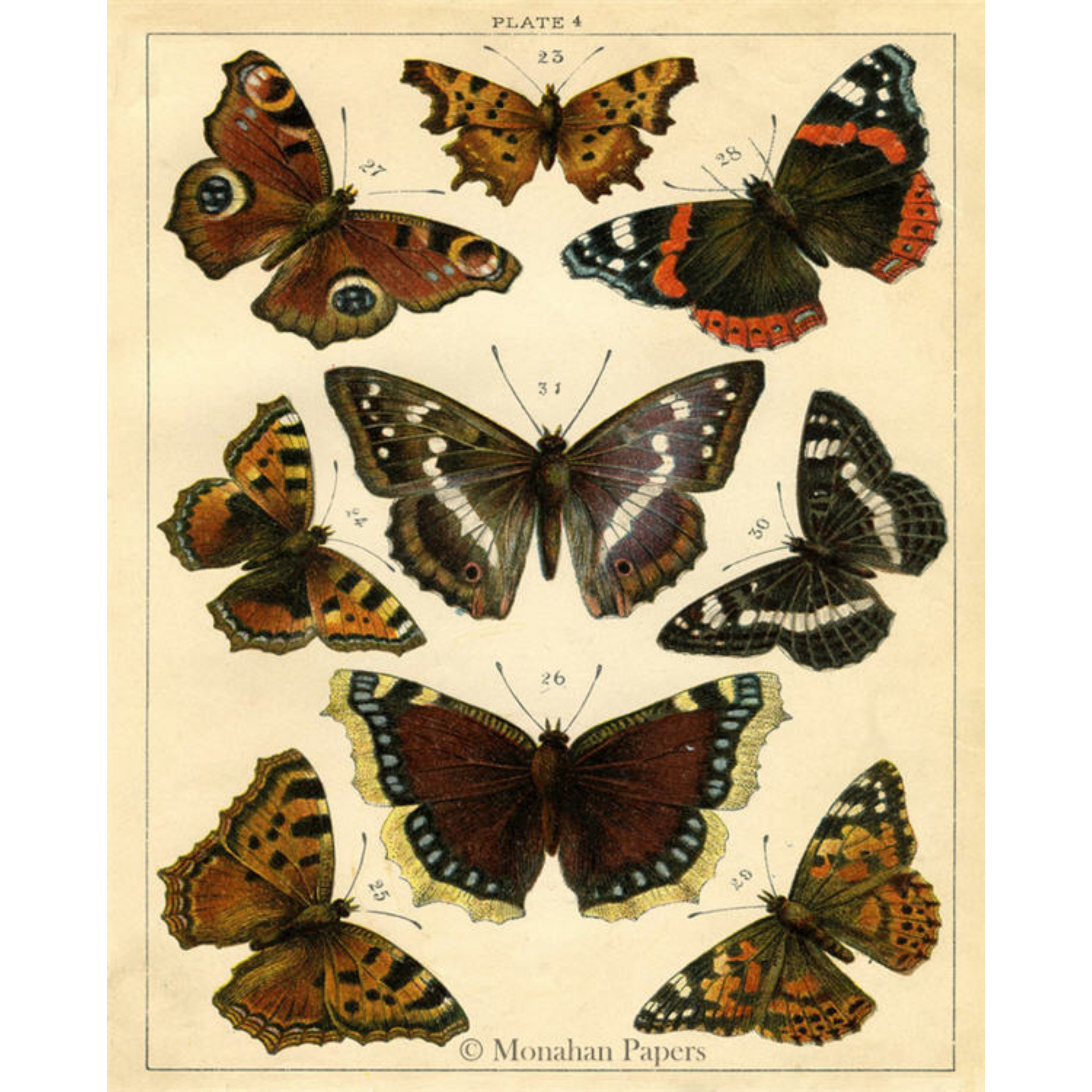 "Butterflies Plate" 24 lb decoupage paper by Monahan Papers. Available at Milton's Daughter.