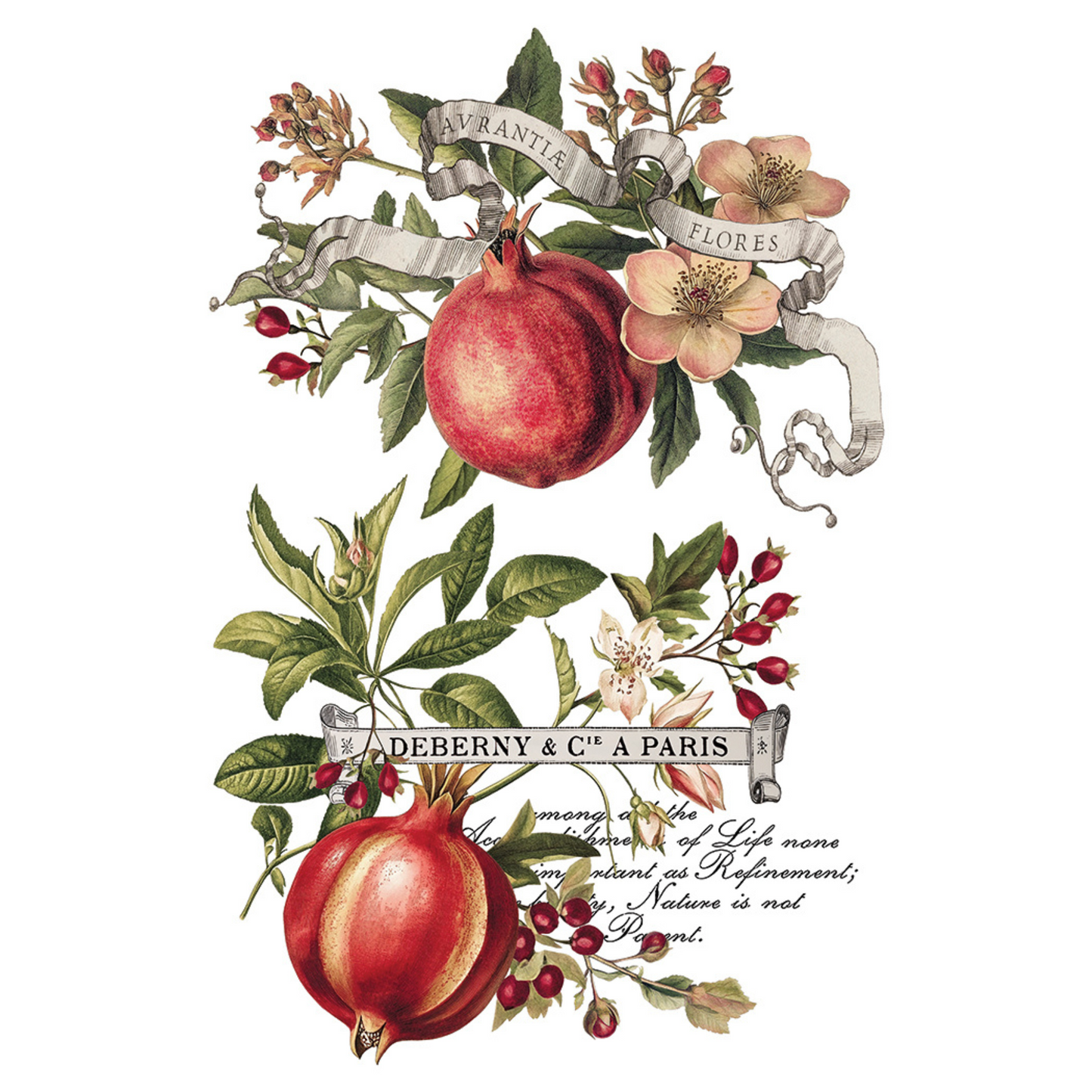 "Clementine" IOD Transfer by Iron Orchid Designs. pg 2 of 8.Decorative design with pomegranates, flowers, and text. Available at Milton's Daughter.