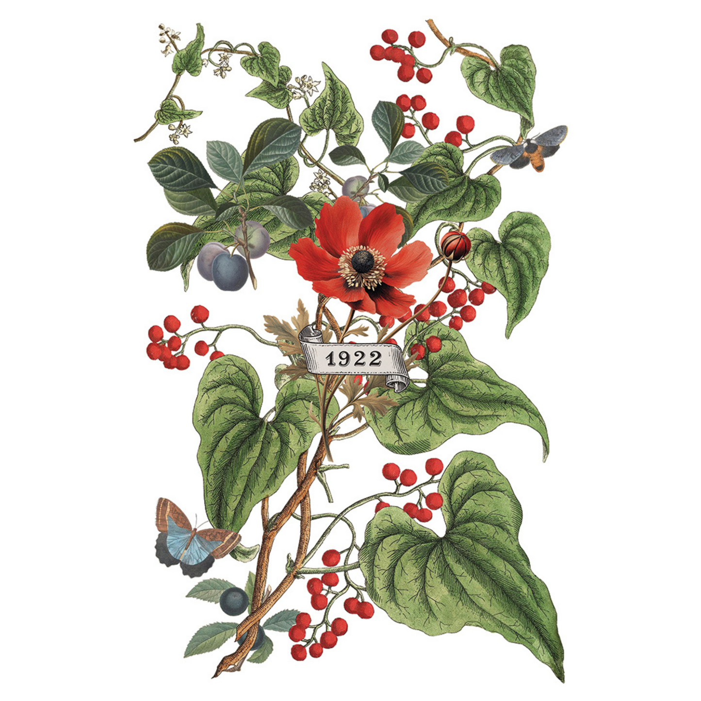 "Clementine" IOD Transfer by Iron Orchid Designs. pg 6 of 8. Illustration of flowers, leaves, and berries with a '1922' label. Available at Milton's Daughter.