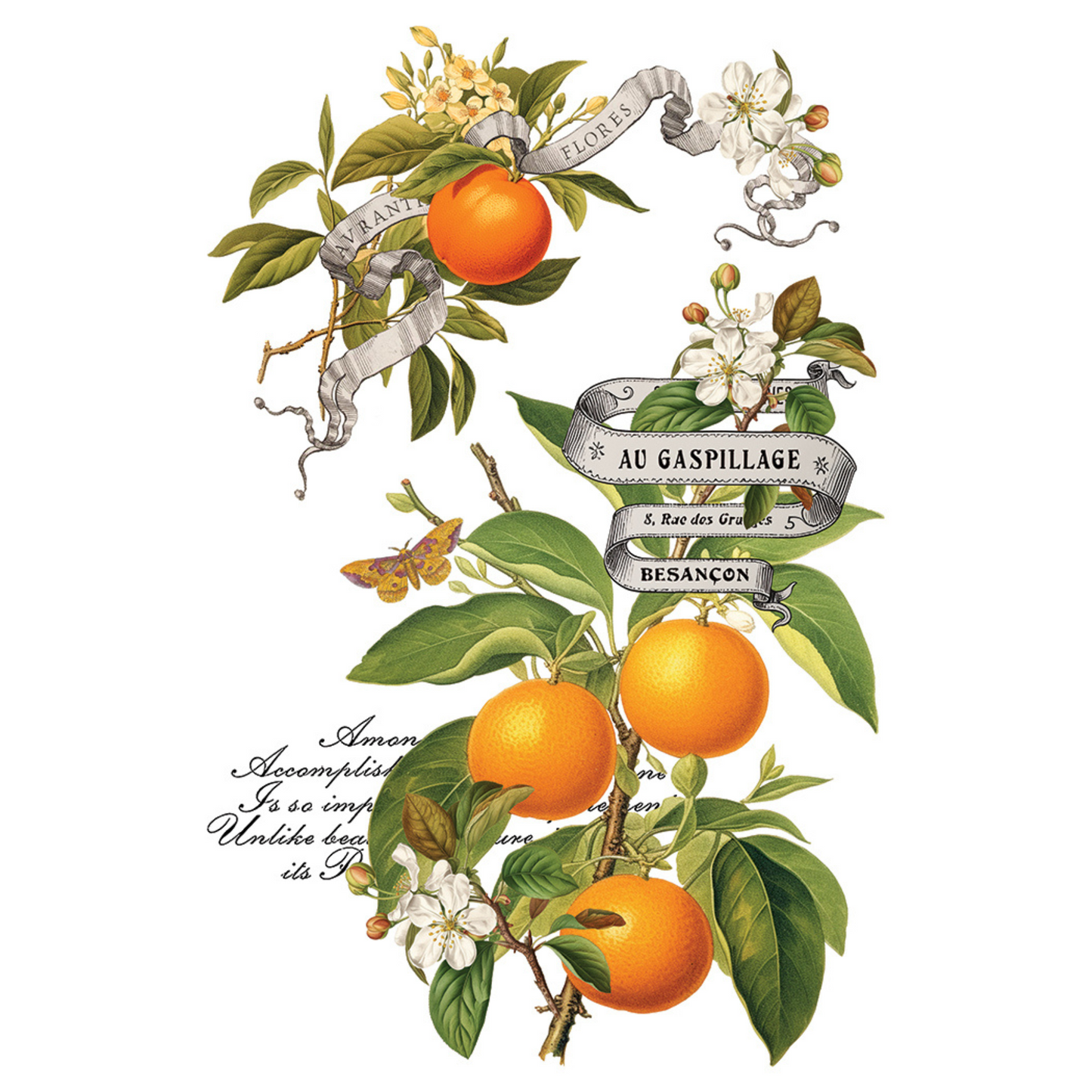 "Clementine" IOD Transfer by Iron Orchid Designs. pg 7 of 8. Available at Milton's Daughter.