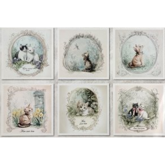 Set of six images with illustrations of cats in decorative frames on a white background.