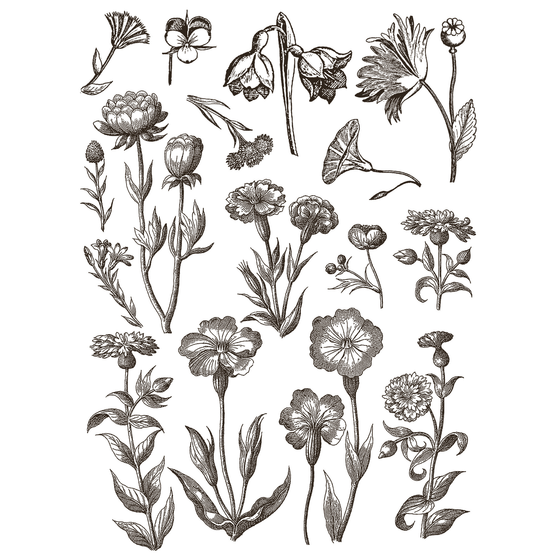 "Floriography" IOD Paint Inlay Transfer by Iron Orchid Designs. Eight 12" x 16" sheets. Available at Milton's Daughter. Page 4.