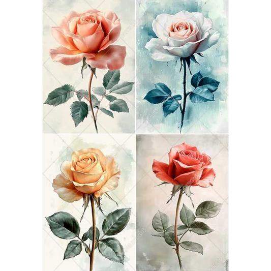 Four different colored roses with green leaves on a white background.