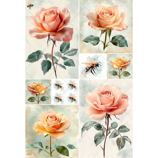 Peach Roses & Bees
