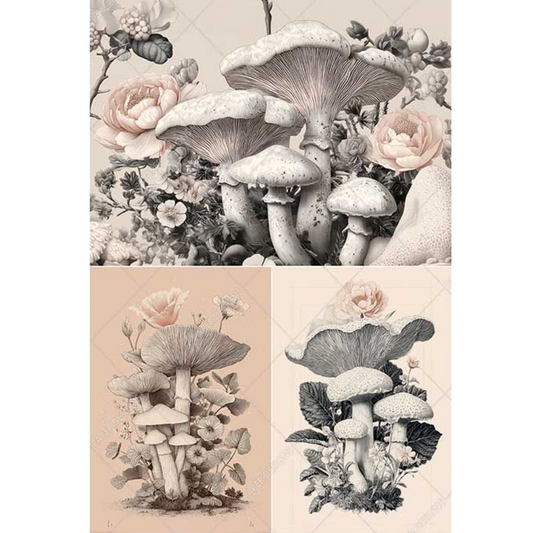 Collage of vintage-style illustrations featuring mushrooms and roses on a beige background.