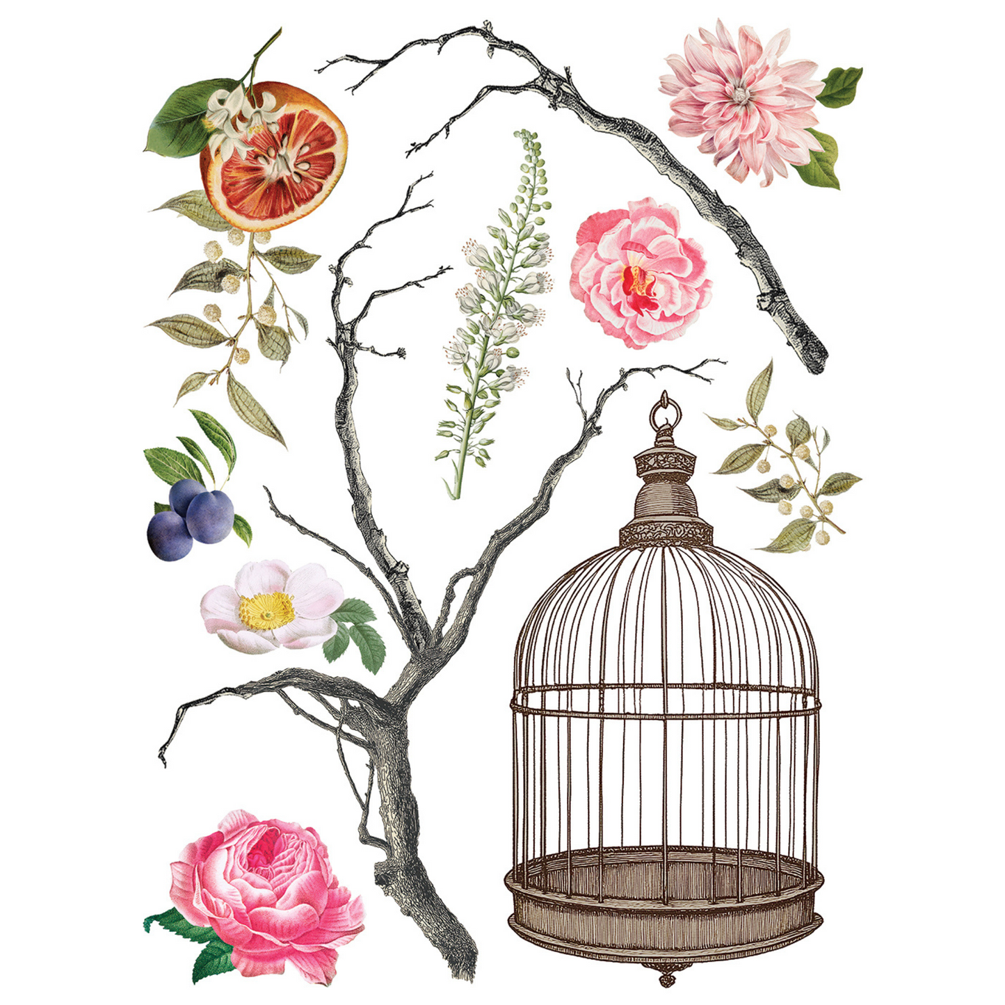 "Menagerie" IOD Transfer by Iron Orchid Designs. Eight 12" x 16" sheets. Available at Milton's Daughter. Page 1.