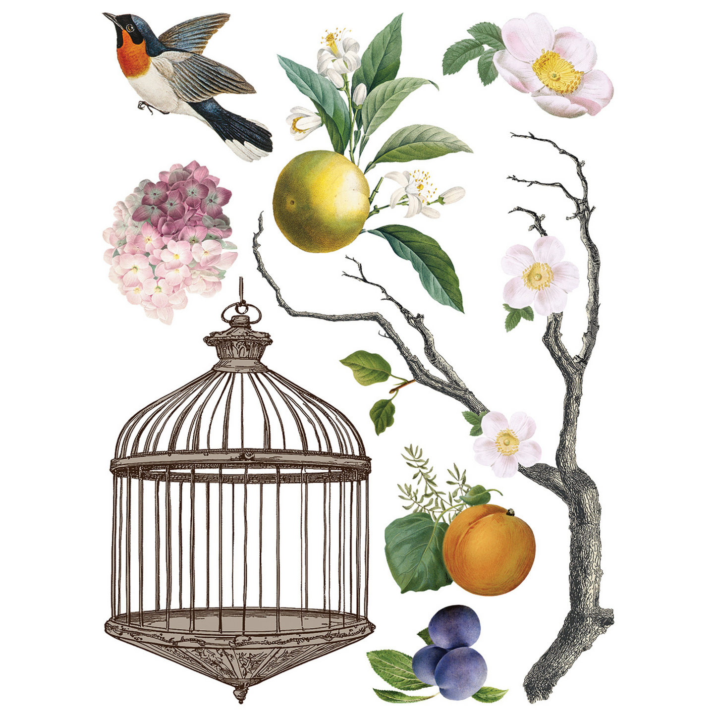 "Menagerie" IOD Transfer by Iron Orchid Designs. Eight 12" x 16" sheets. Available at Milton's Daughter. Page 8.