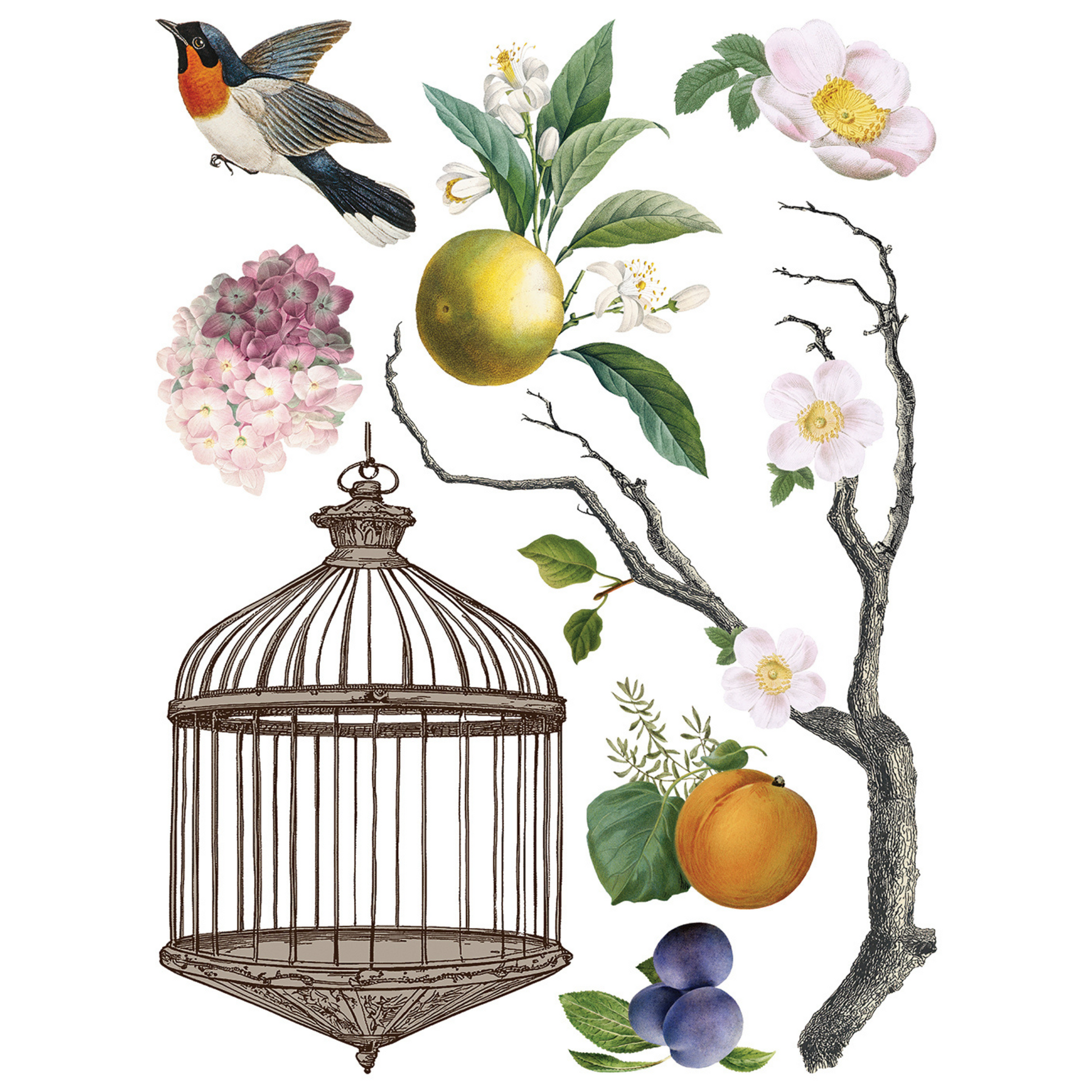 "Menagerie" IOD Transfer by Iron Orchid Designs. Eight 12" x 16" sheets. Available at Milton's Daughter. Page 8.
