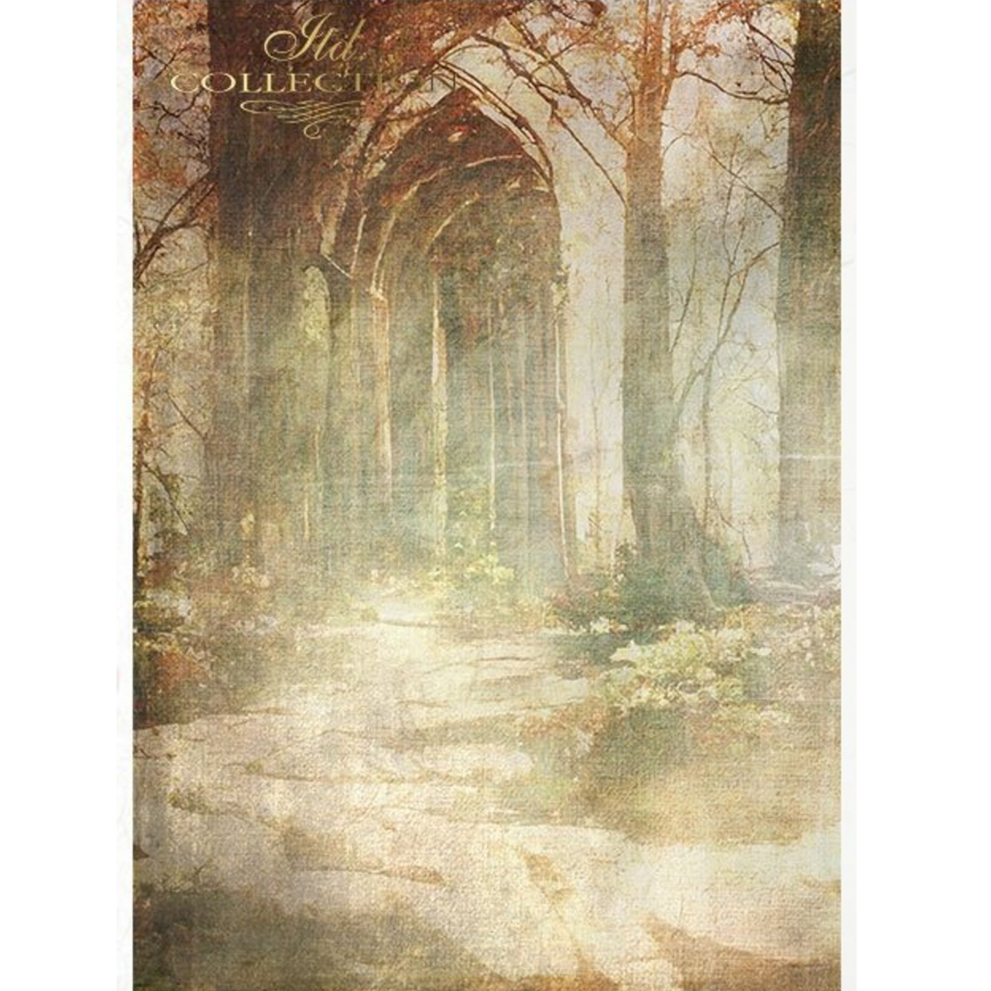 "Mysterious Forest" 11 pack decoupage rice paper set in size A4 by ITD Collection. Available at Milton's Daughter. Page 2 of 11.