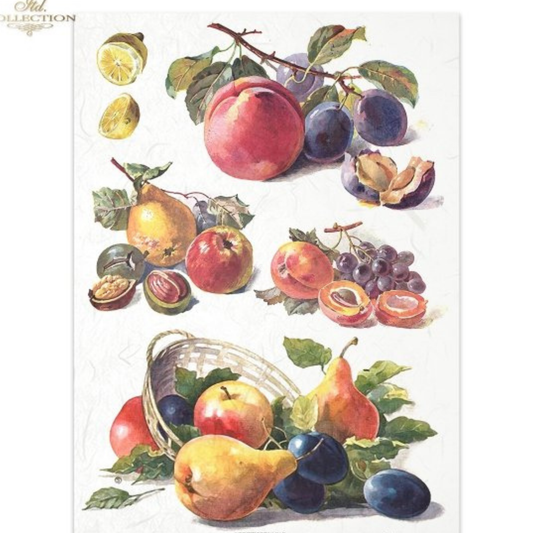 Illustration of various fruits including apples, pears, plums, and lemons on a white background.