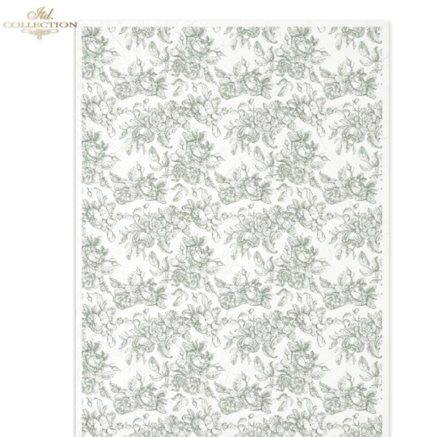 Floral patterned toile style paper in dark green with a white background.