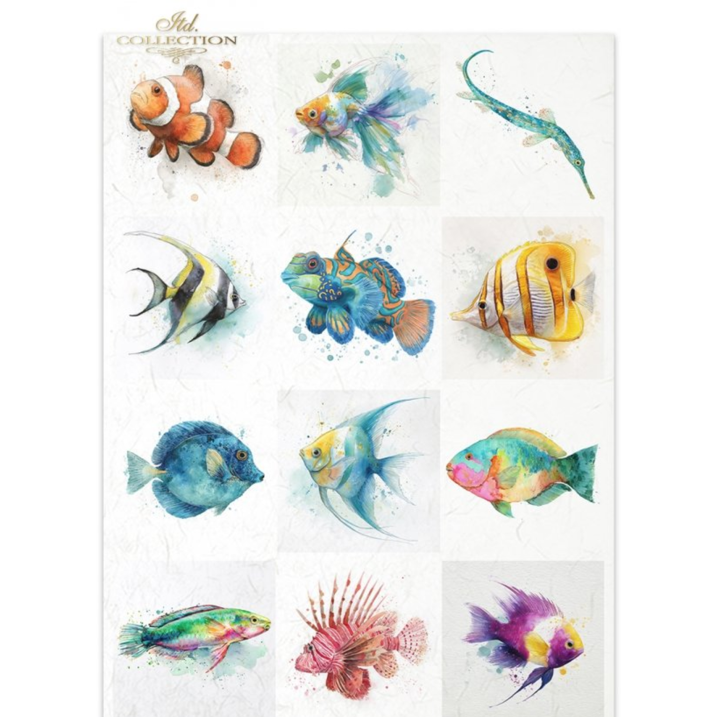 Fish-themed design featuring twelve colorful watercolor illustrations of various tropical fish, including clownfish, tangs, butterflyfish, and sharks, arranged in a grid on a white background.