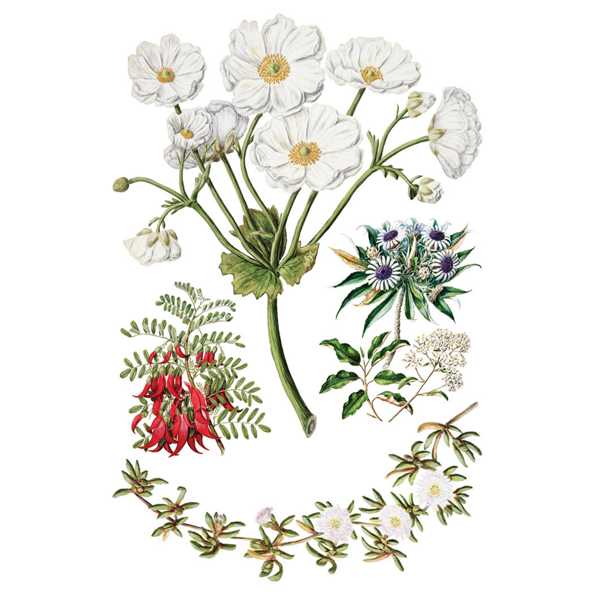 "Sarah Featon's Botanicals" IOD Transfer by Iron Orchid Designs. Eight 8" x 12" sheets. Available at Milton's Daughter. Page 6.