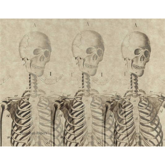 "Skeleton Trio" 24 lb. decoupage paper by Monahan Papers. Available at Milton's Daughter.