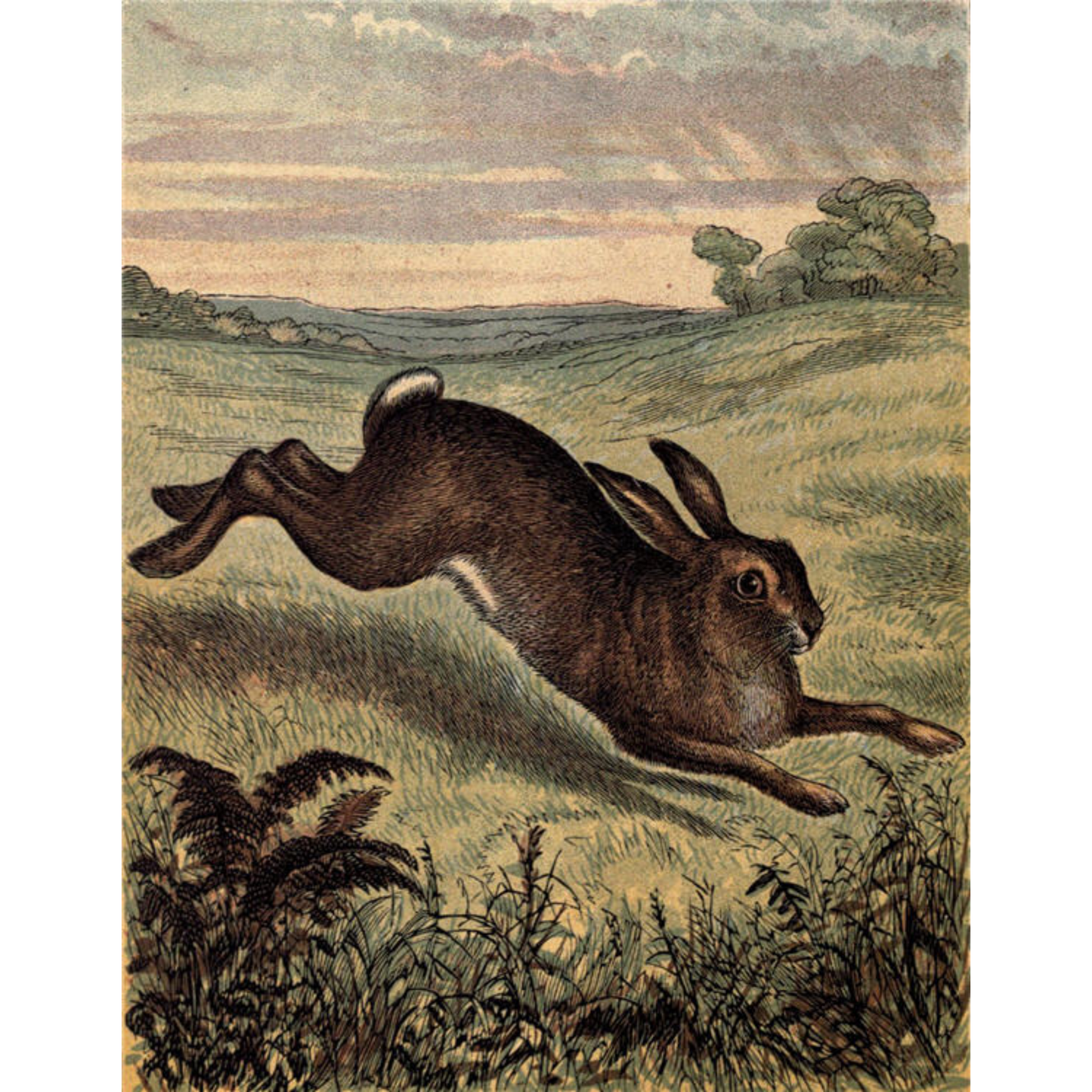 "Through the Meadow" 24 lb. decoupage paper by Monahan Papers. Available at Milton's Daughter.