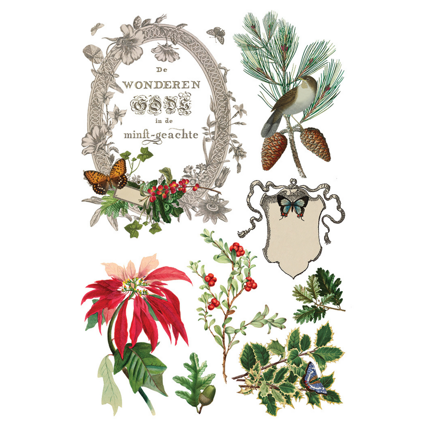 "Winter Botanist" IOD Transfer by Iron Orchid Designs. Pg 2 of 8. Available at Milton's Daughter.Collection of vintage-style botanical illustrations with flowers, leaves, and decorative elements.