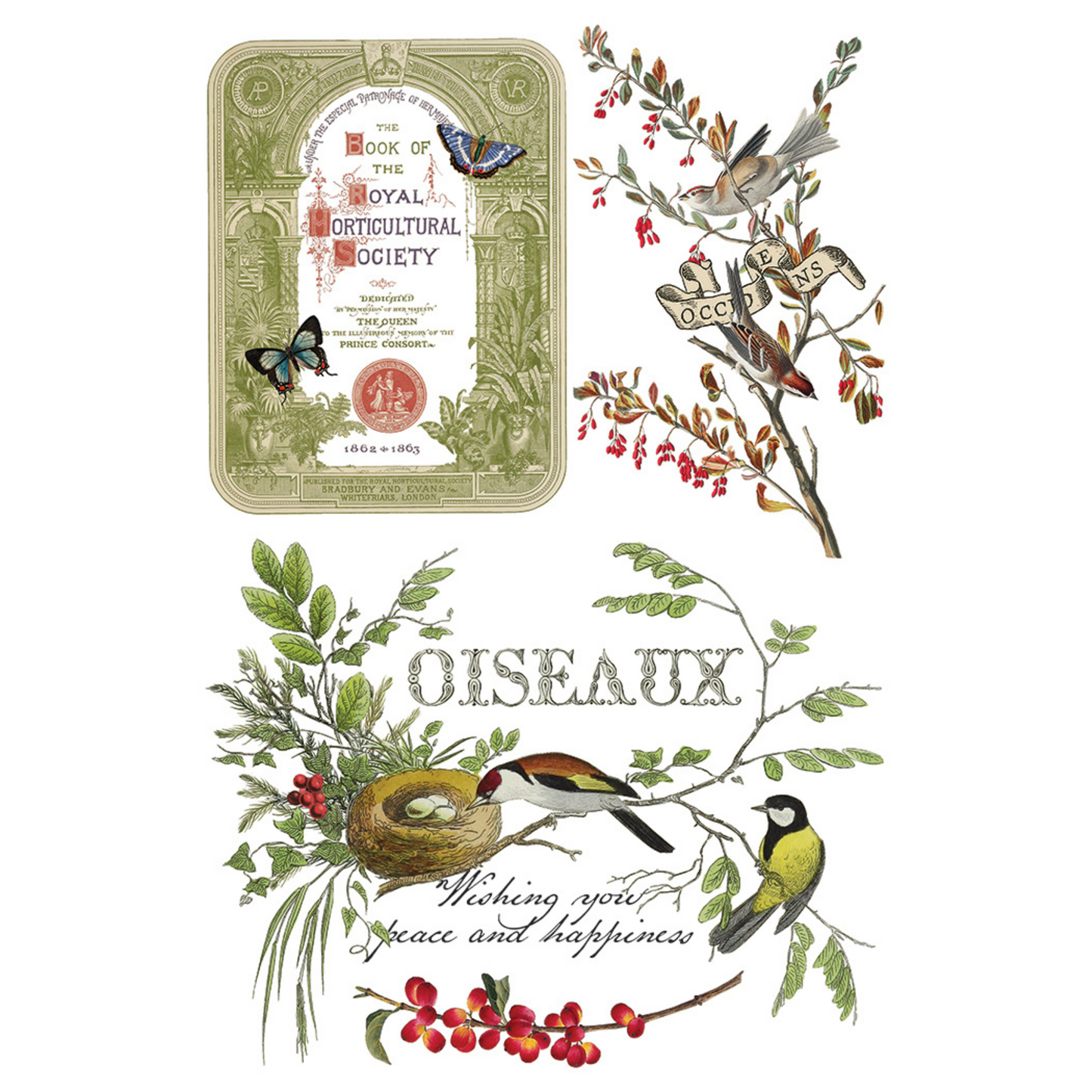 "Winter Botanist" IOD Transfer by Iron Orchid Designs. Pg 3 of 8. Available at Milton's Daughter. Decorative design with ornate text, birds, and floral elements.