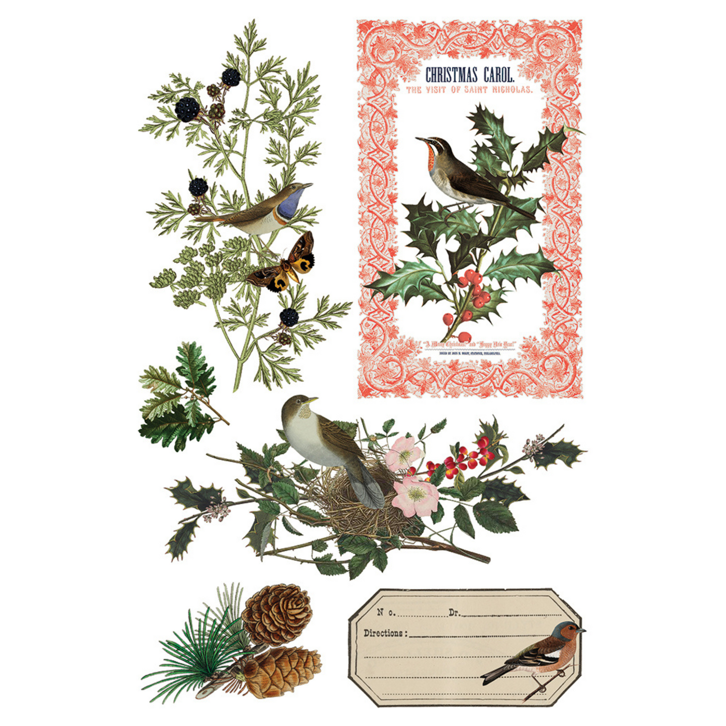 "Winter Botanist" IOD Transfer by Iron Orchid Designs. Pg 6 of 8. Available at Milton's Daughter. Collage of vintage-style Christmas illustrations with birds, holly, and other elements.