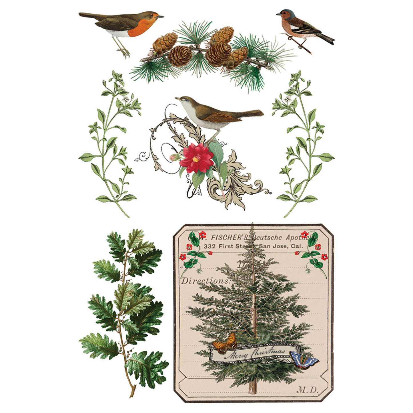 "Winter Botanist" IOD Transfer by Iron Orchid Designs. Pg 8 of 8. Available at Milton's Daughter. Decorative design elements with birds, flowers, and a tree.