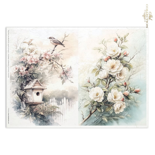 A decorative paper featuring two watercolor-style floral scenes: a bird perched on a branch above a small birdhouse with pink blossoms on the left, and white flowers with green leaves and blush buds on the right, set against a soft cream and pale blue background.