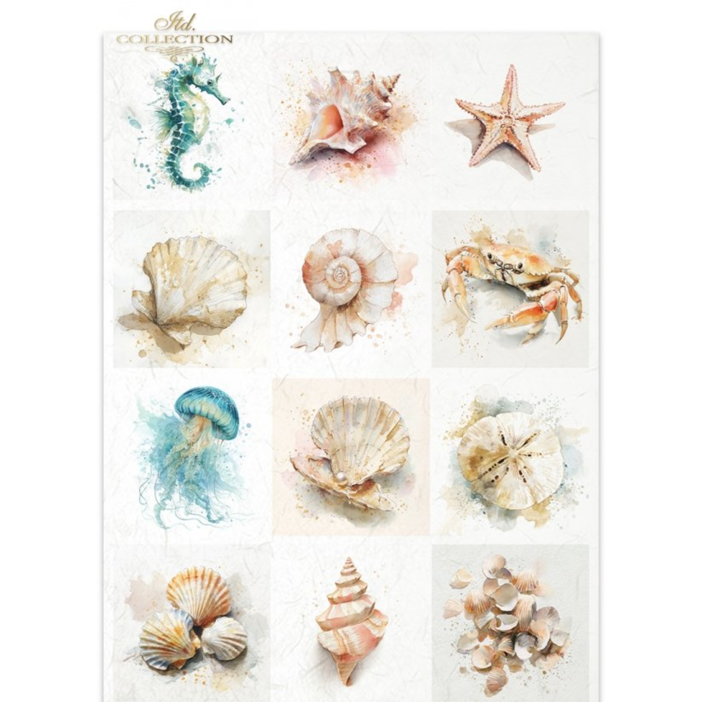 Decorative paper featuring 12 watercolor-style sea life illustrations, including a seahorse, starfish, shells, crab, jellyfish, sand dollar, and clam shells, arranged in a grid on a white background.