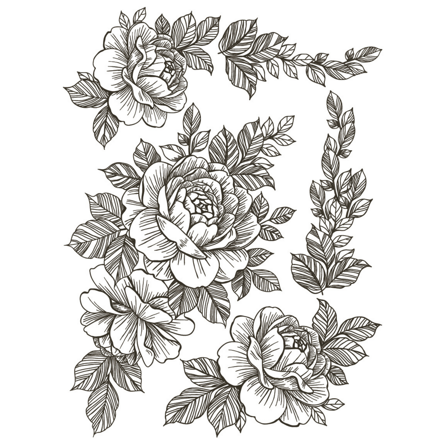 Desperado IOD rub-on furniture transfer by Iron Orchid Designs. One of eight sheets. Available at Milton's Daughter.