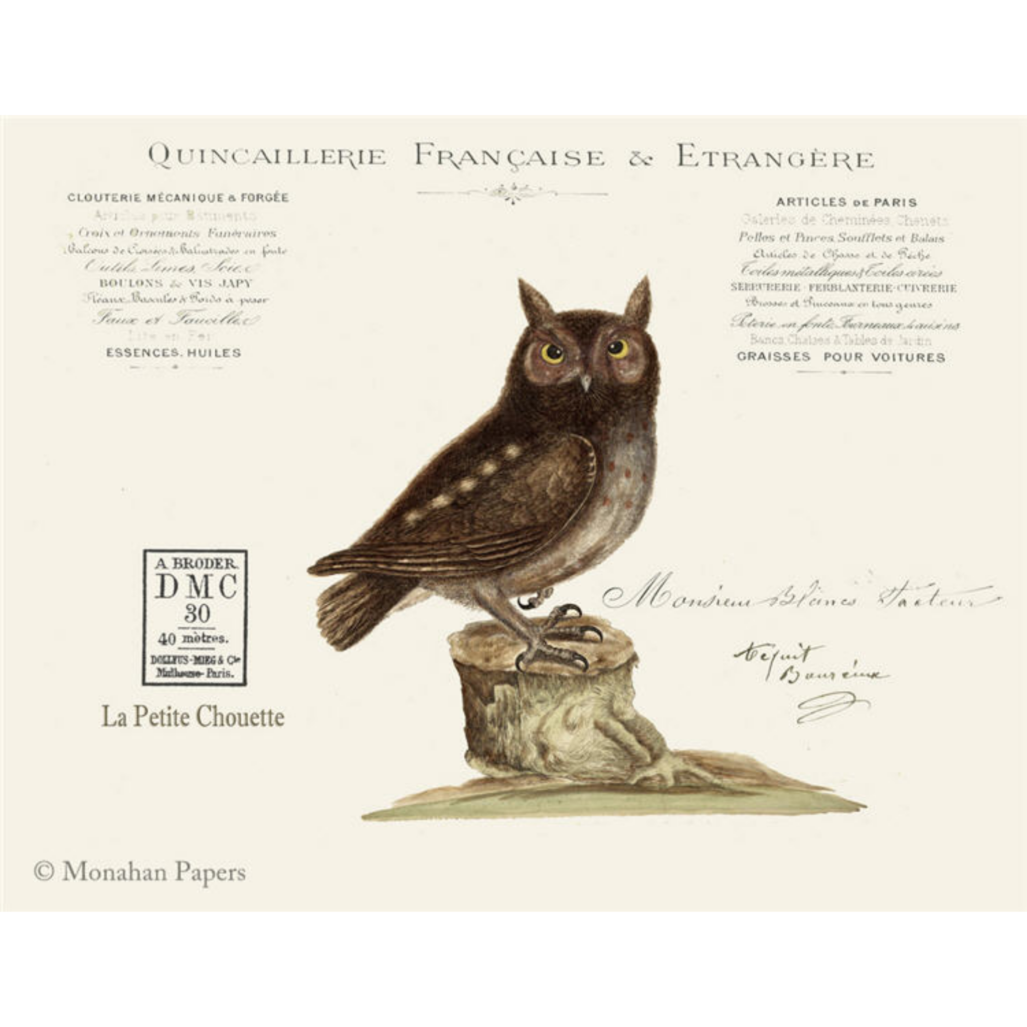 Francaise Owl