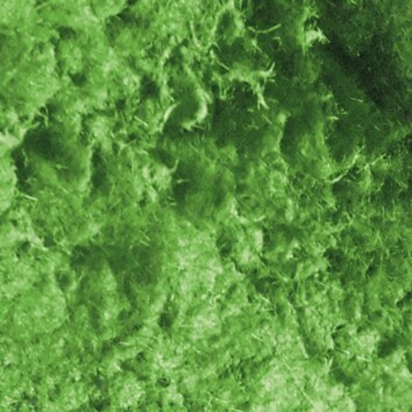 Grass Effect Paste by Pentart