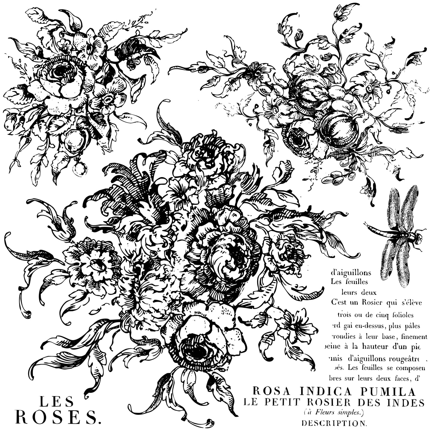 Stamp of floral bouquets of various sizes, dragon fly and French lettering at Milton's Daughter.