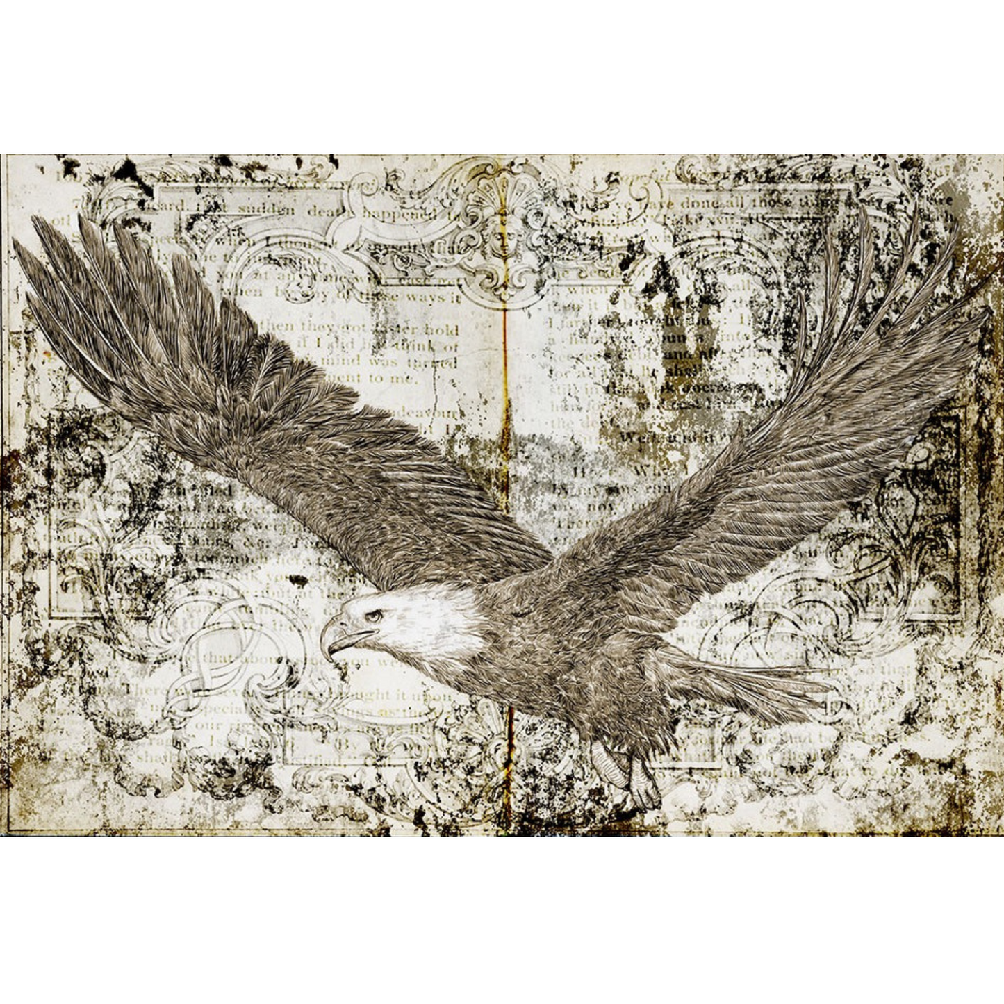 Paper Designs "Flying Eagle" from the Animals collection. Imported from Italy by Decoupage Queen, Paper Designs Decoupage Rice Paper is available at Milton's Daughter.