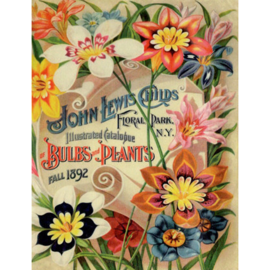 "John Lewis Childs-Fall 1892 Illustrated Catalogue-TT99" print reproduction on decoupage rice paper by Calambour. Size A4 available at Milton's Daughter.
