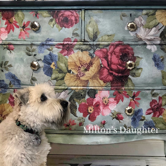 Depression era dresser, painted and decorated with IOD Wall Flower Furniture Transfer, Gracie the Wheaten Terrier in the foreground-at Milton's Daughter