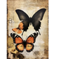 Vintage-style butterfly art print featuring a large black butterfly, a smaller orange butterfly, and a large orange-and-black monarch butterfly on a distressed beige background with faint script text.