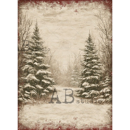 Vintage-style winter forest backdrop print featuring snow-covered evergreen trees, bare trees, and a snowy path, with distressed red borders.