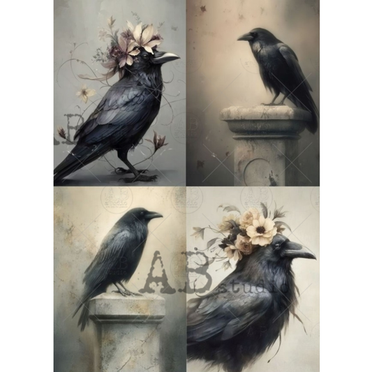 A four-panel collage of black ravens posed on stone pedestals against a muted vintage background, with floral accents in two panels.