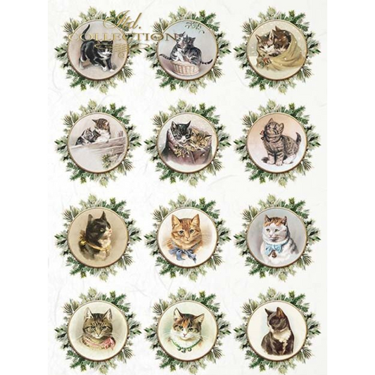 "12 Round Mini Cat Portraits" decoupage rice paper by ITD Collection. Available at Milton's Daughter.