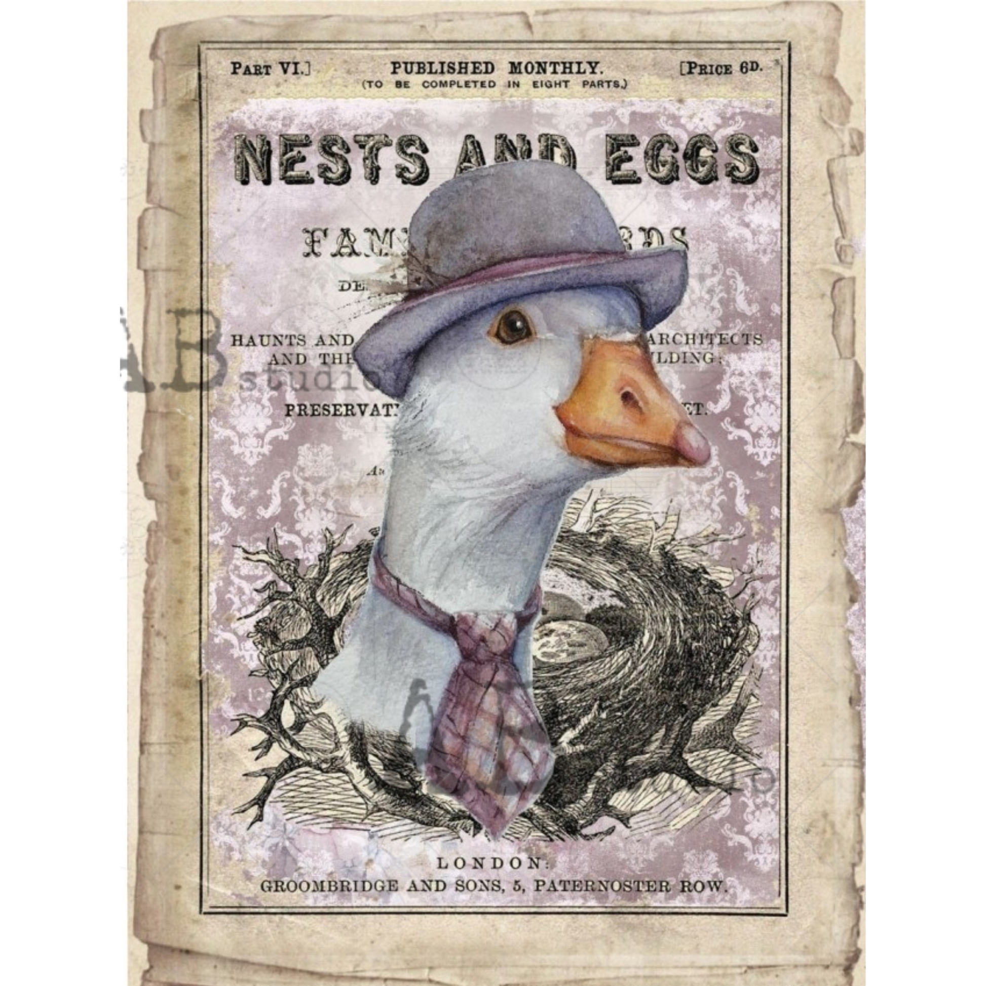Portrait of a male duck wearing a tie and felt hat over printed text background.