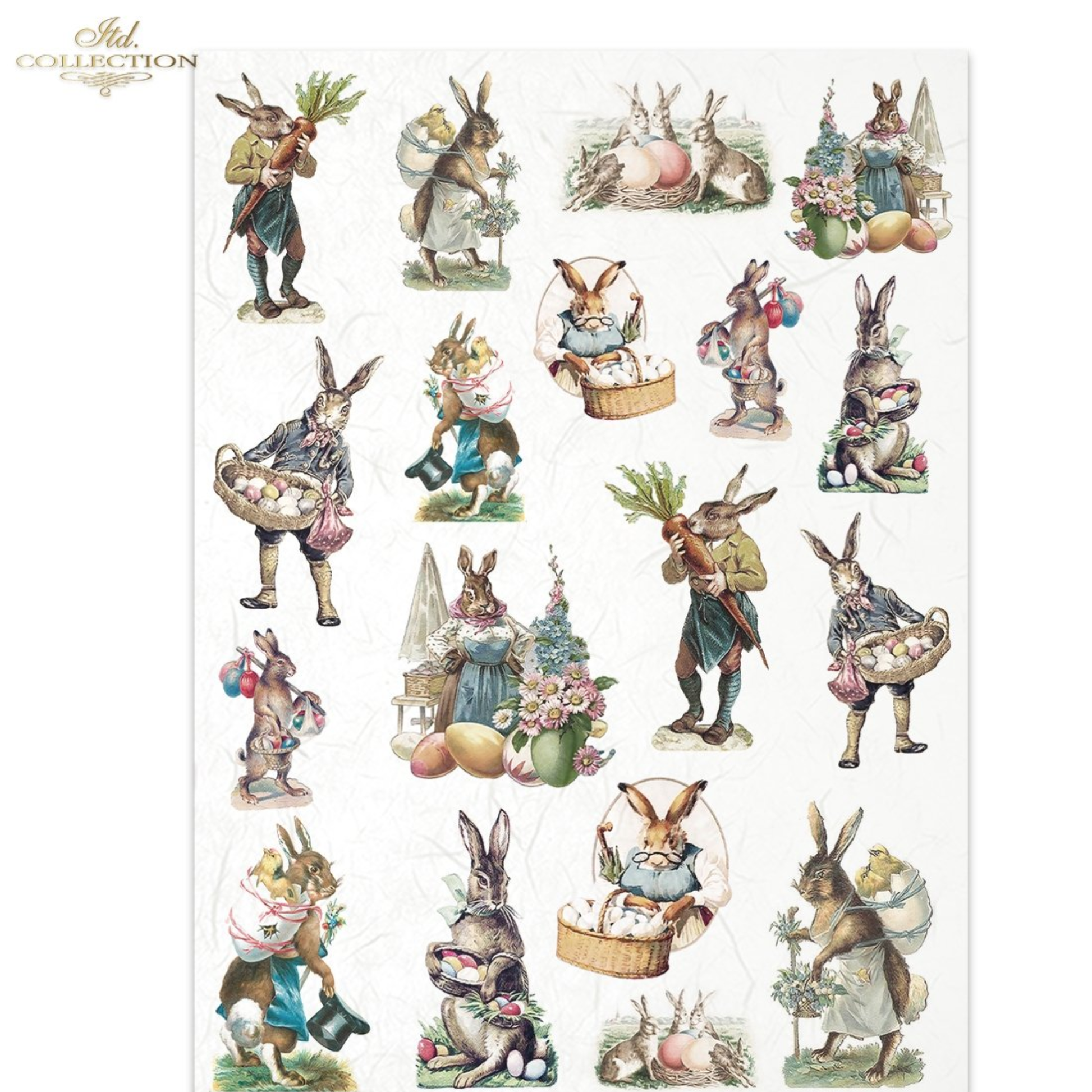 Collection of whimsical vintage-style rabbit illustrations on a white background.