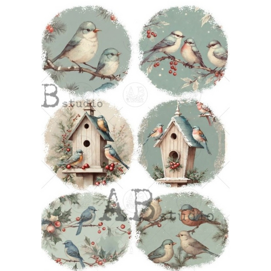 Set of circular illustrations featuring birds and birdhouses on a light blue background.