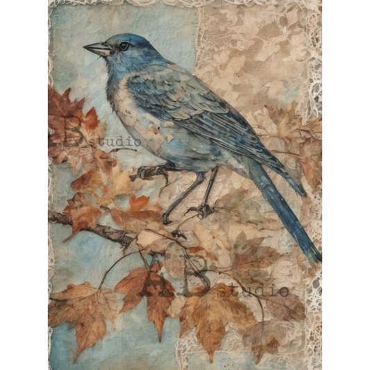 Blue bird on a branch with autumn leaves and lace texture