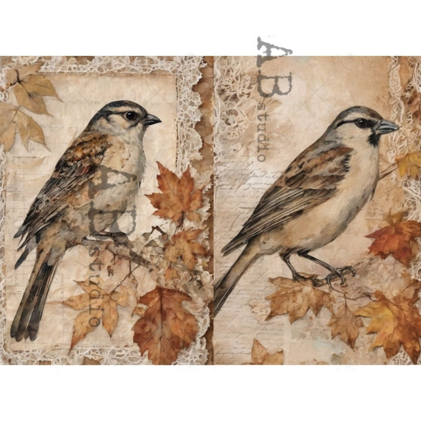 Two birds on a decorative background with autumn leaves and lace